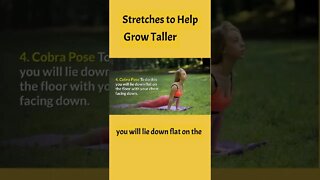 Best Stretching Exercises to Increase Height