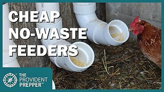 How to Make an Inexpensive Chicken Feeder to Reduce Waste