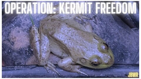 Operation: Kermit Freedom