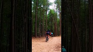 Lone Ranger - Kanuga Bike Park's Green Jump Line #shorts