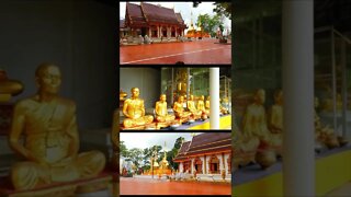 Wat Phrathat Doi Tung Chiang Rai Thailand 🇹🇭
