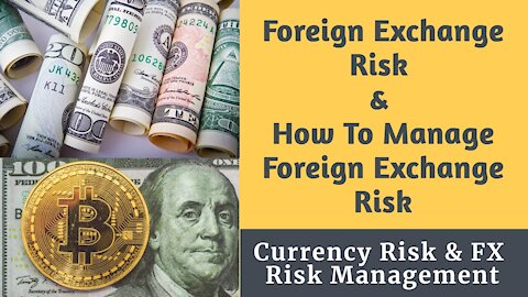 Foreign Exchange Risk and How To Manage Foreign Exchange Risk (Currency Risk & FX Risk Management)