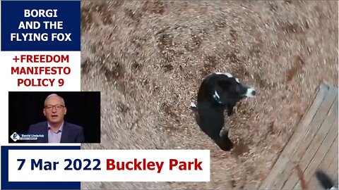 6:00pm 7 Mar 2022 - Borgi and Flying Fox (+ LibDem Policy 9): Buckley Park, Essendon