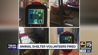 Animal shelter volunteers fired