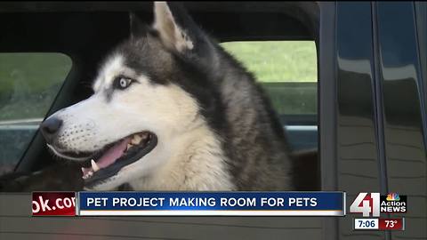 KC Pet Project preparing for expected influx of pets after Fourth of July