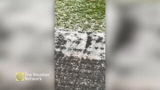 Hail turns green grass white during storm