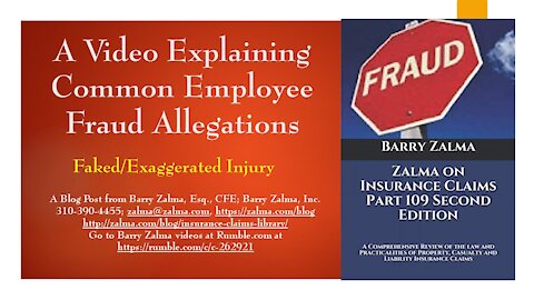 A Video Explaining Common Employee Fraud Allegations