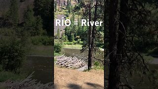 Pacific Northwest #oregon #river #rio