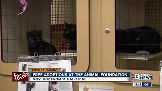 Free adoptions this week at animal shelter