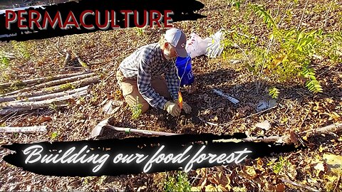 Watch As We Build Our PERMACULTURE Orchard/Food Forest!