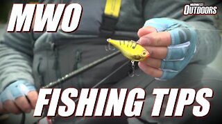 Fishing Tips: Baits for Shallow Water Walleye, Fish Care, and Essential Gear for Kids