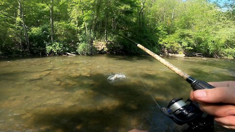 Trout Fishing on a Hot Day