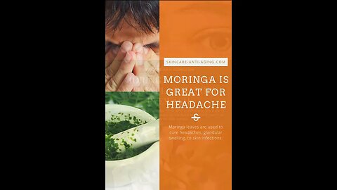 Moringa Benefits, Why Everyone Should Eat This
