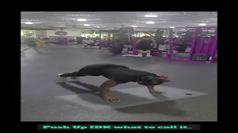 Planet Fitness Bodyweight Workout #calisthenics #workout #weightloss #Fitness #push ups #Street