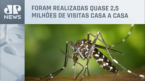 SP divulga balanço de prevenção ao Aedes Aegypti em 2022