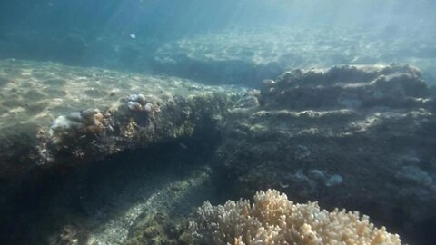 Scientists Find Ancient 'Lost Continent' in the Indian Ocean