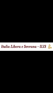 Italia Libera e Sovrana - ILIS: fase costituente