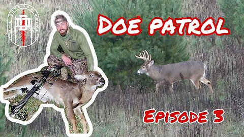 Doe gets bred by young buck! || Doe Patrol Mini Series — Episode 3 || Giant MA buck out of range
