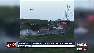 Guacamole-loving gator crashes couple's date by Florida lake