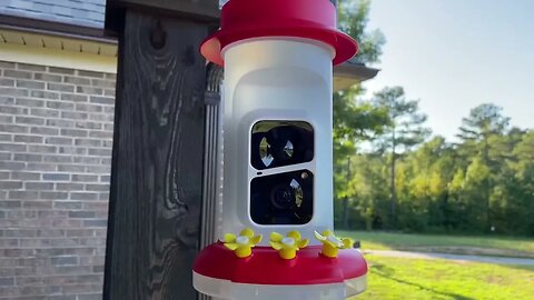 Wireless Hummingbird Feeder! See them up close!