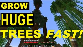 Minecraft - HUGE TALL Trees Fast! (Tips & Tricks) 2023