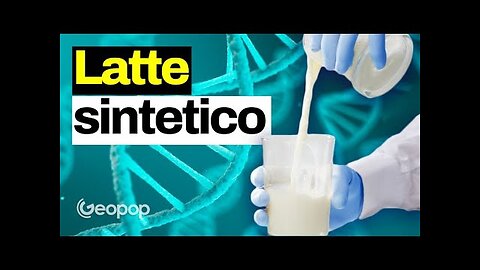 Il latte sintetico cos'è e cosa cambia rispetto alla carne sintetica fatta in laboratorio DOCUMENTARIO prodotto artificialmente in laboratorio sarà realizzato solo attraverso lo sfruttamento della fermentazione di lieviti modificati geneticamente