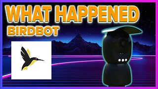 What Happened to Bird Bot?