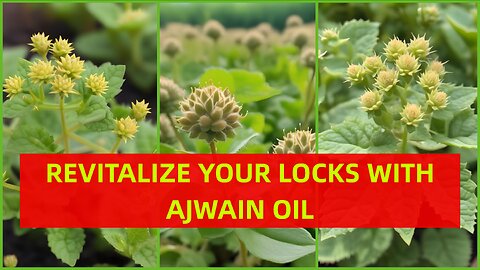 Revitalize Your Locks: Discover The Nourishing Benefits Of Ajwain Oil For Hair