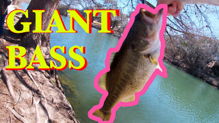 New Personal Best - Giant Bass