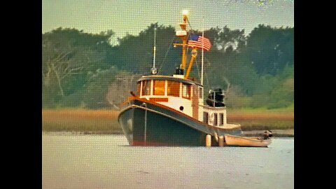 Dolphins play with the bow of a Lord Nelson Victory Tug 37