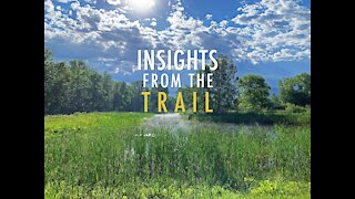 INSIGHTS FROM THE TRAIL: Ep 4 - Stand In Your Christed Light