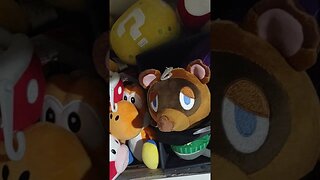 my Nintendo Plushie Collection