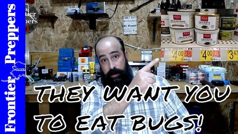 THEY WANT YOU TO EAT BUGS!