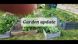 Garden update