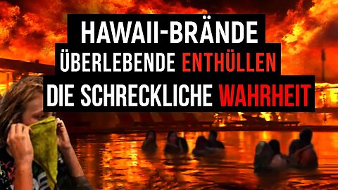 Die erschreckende WAHRHEIT hinter den Waldbränden auf Hawaii. Eindrucksvolle Dokumentation