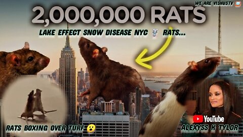 Alexyss K Tylor: Lake Effect Snow Disease NYC 🐀 Rats... "PART:1" #VishusTv 📺