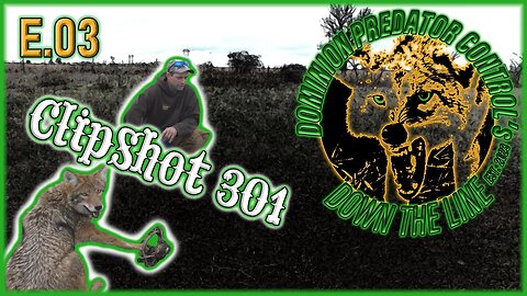 Down The Line ClipShot 301 | 3rd Dog Of The Day