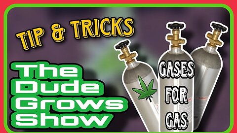Cannabis Yield: Tips & Tricks for Adding CO2 During Flowering - Dude Grows Show 1,476