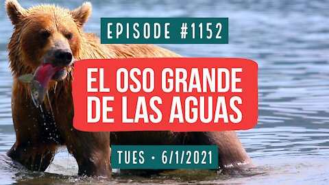 #1152 El Oso Grande De Las Aguas