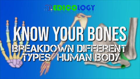Know Your Bones: A Breakdown of the Different Types in the Human Body