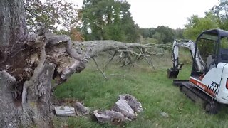 Cleaning up tree limbs around the farm | Cutting and splitting firewood