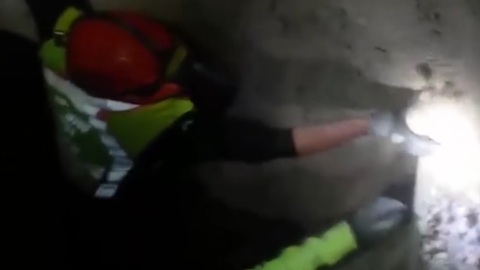 Firefighters miraculously save dog buried by earthquake debris