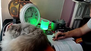 STUDY with me and my cat Day: 10 [CAT PURRS] ⛈️
