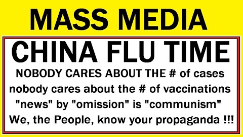 MASS MEDIA CHINA FLU TIME