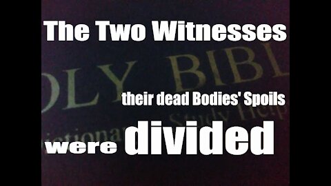 Revelation 11: The two Witnesses, their dead Bodies' Spoils were divided