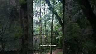 Tardezinha em Itariri