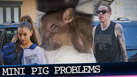 Ariana Grande's Piggy Smallz Suffers the Most in Pete Davidson Breakup