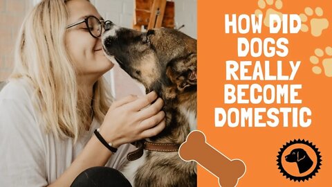 How did Dogs Really become Domesi | DOG BLOG 🐶 #BrooklynsCorner
