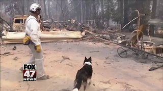 More than 600 now missing as death toll grows to 63 in Northern California's Camp Fire