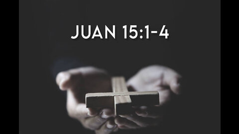 Juan 15:1-4